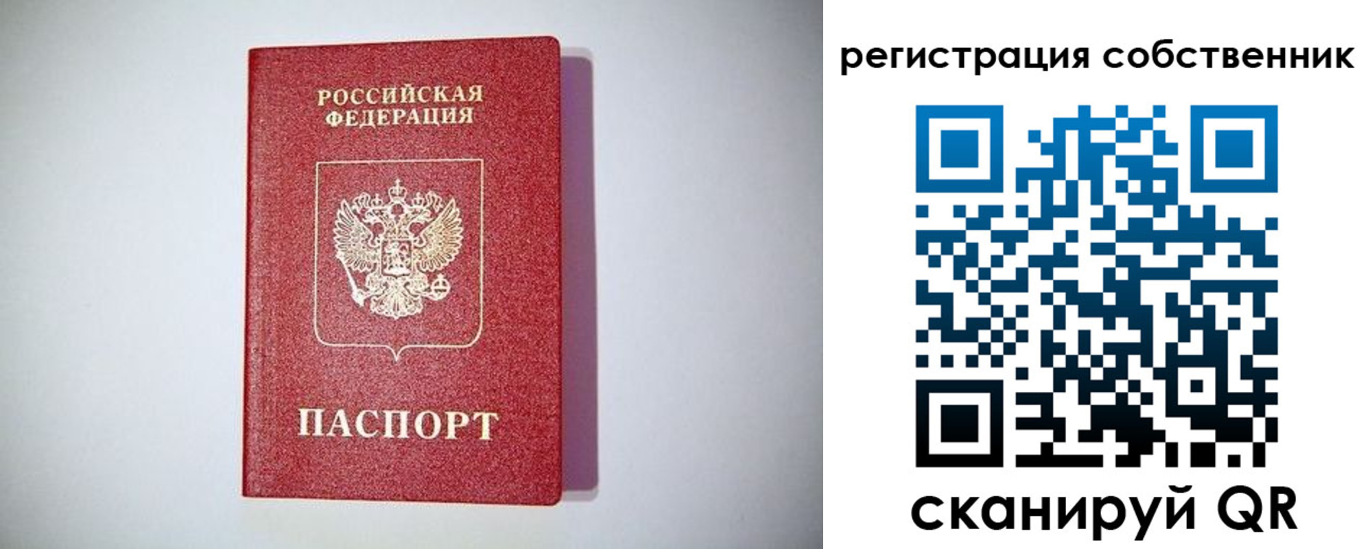 временная регистрация для школы в Барыше